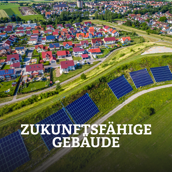 Weiterleitung zur Seite "Praktikum & Freiwilligendienste"