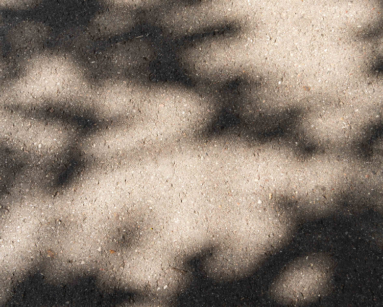 Schatten eines Baumes auf dem Boden